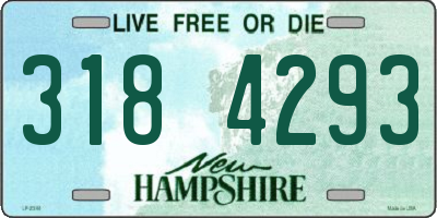 NH license plate 3184293
