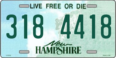 NH license plate 3184418