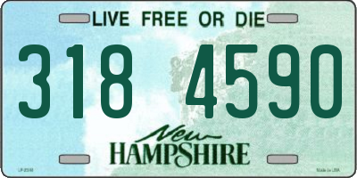NH license plate 3184590