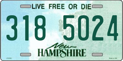 NH license plate 3185024