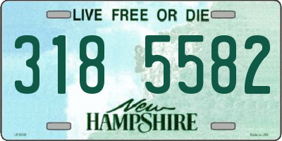 NH license plate 3185582
