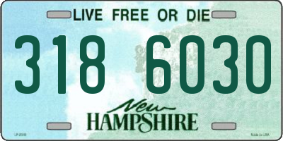 NH license plate 3186030