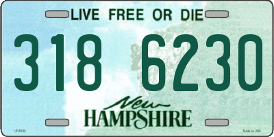 NH license plate 3186230