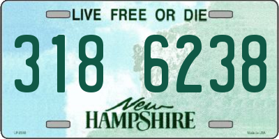 NH license plate 3186238