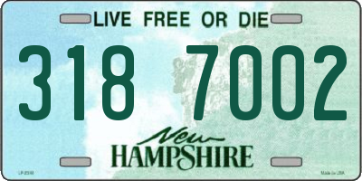 NH license plate 3187002