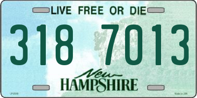 NH license plate 3187013