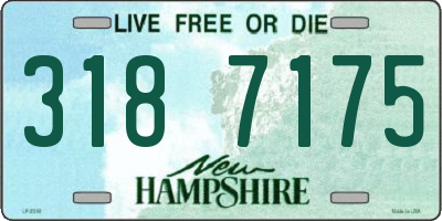 NH license plate 3187175