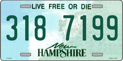 NH license plate 3187199