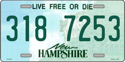 NH license plate 3187253