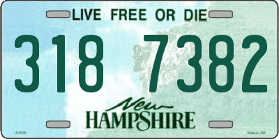 NH license plate 3187382