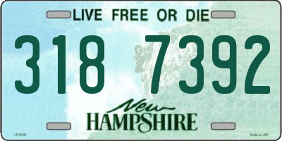 NH license plate 3187392