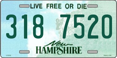 NH license plate 3187520