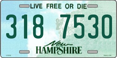 NH license plate 3187530
