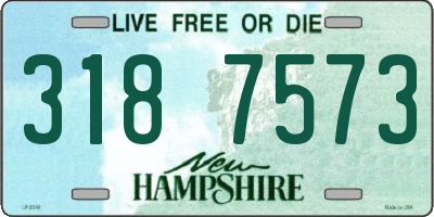 NH license plate 3187573