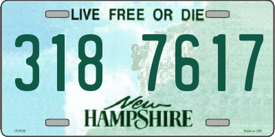 NH license plate 3187617