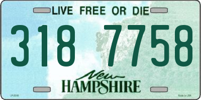 NH license plate 3187758
