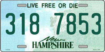 NH license plate 3187853