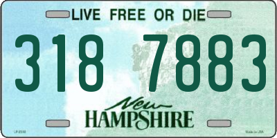 NH license plate 3187883