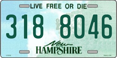 NH license plate 3188046