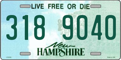 NH license plate 3189040