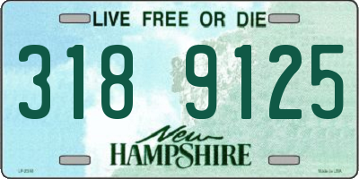 NH license plate 3189125
