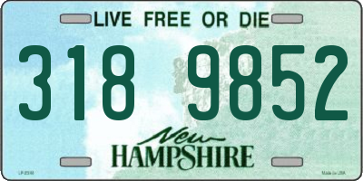 NH license plate 3189852