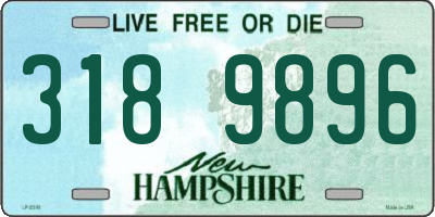 NH license plate 3189896
