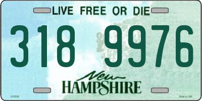 NH license plate 3189976