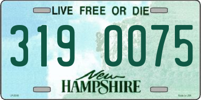 NH license plate 3190075