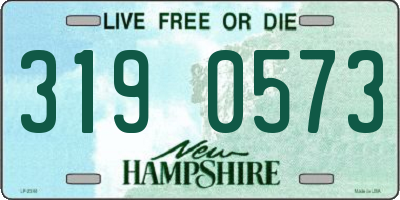NH license plate 3190573