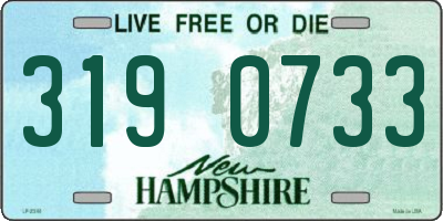 NH license plate 3190733
