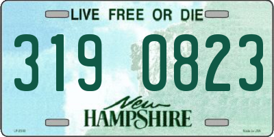 NH license plate 3190823