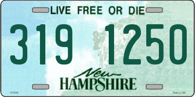 NH license plate 3191250