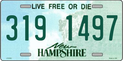 NH license plate 3191497