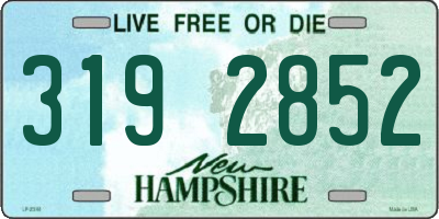 NH license plate 3192852