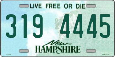NH license plate 3194445