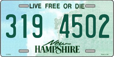 NH license plate 3194502