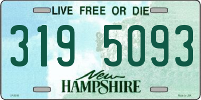 NH license plate 3195093