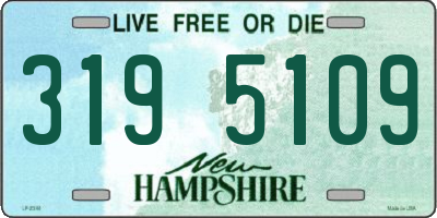 NH license plate 3195109
