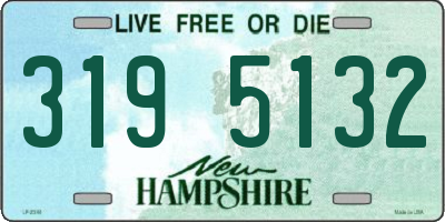 NH license plate 3195132