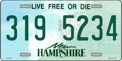 NH license plate 3195234