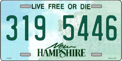 NH license plate 3195446