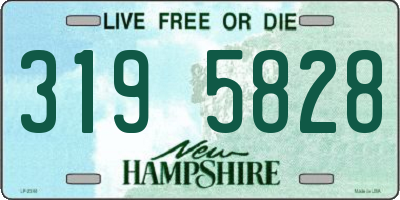 NH license plate 3195828