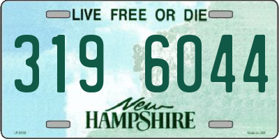 NH license plate 3196044