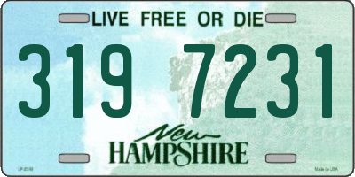 NH license plate 3197231