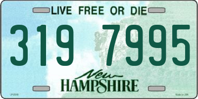 NH license plate 3197995