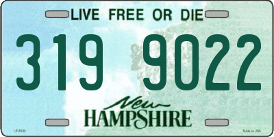NH license plate 3199022