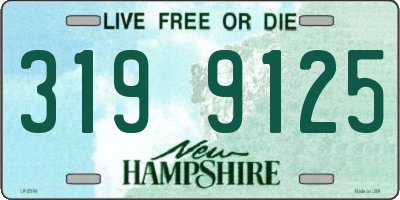 NH license plate 3199125