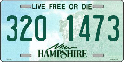 NH license plate 3201473