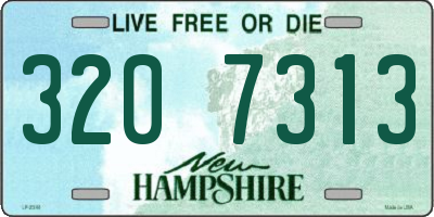 NH license plate 3207313
